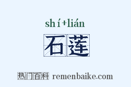 石莲是什么意思的图片